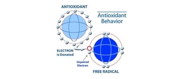 اكسيدان‌ها و آنتی‌اكسيدان‌ها