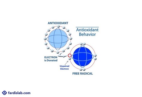 اكسيدان‌ها و آنتی‌اكسيدان‌ها