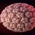 ویروس hpv چیست؟